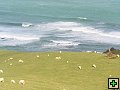thn_The Catlins Coast 030.jpg
